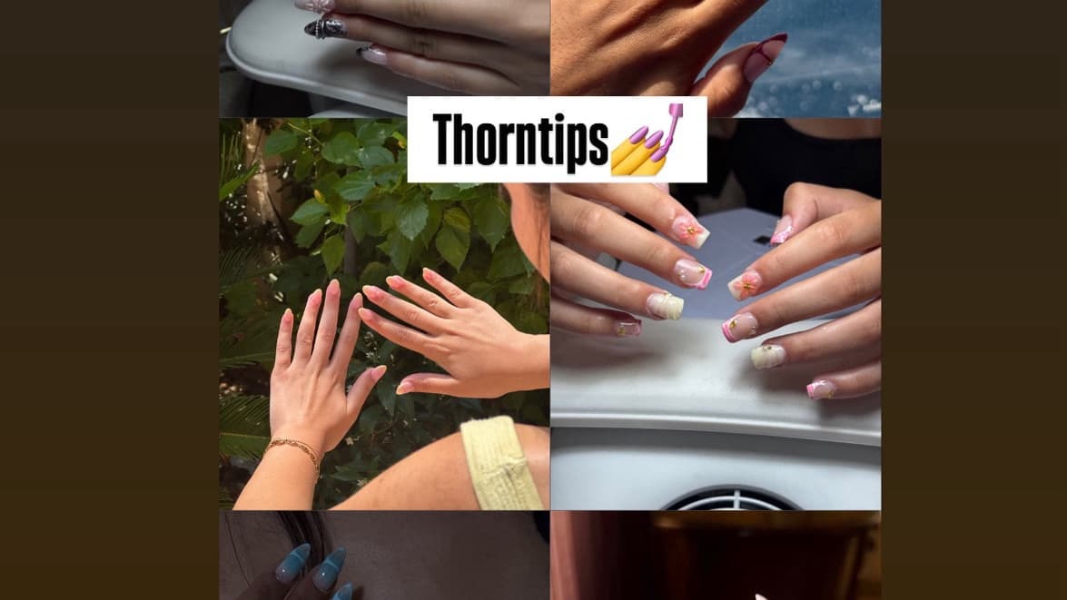 Thorntips cover photo